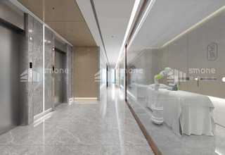 上海品种宠物休闲食品好选择