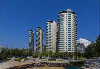 63139-21-9对乙基苯硼酸供应商